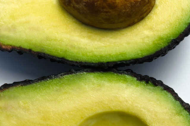 Maluma avocado cultivar developed by Allesbeste Nursery